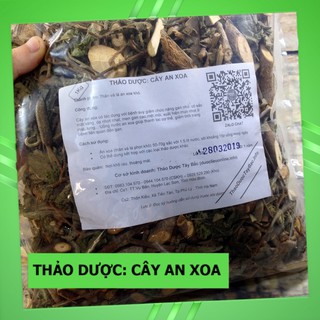 Cây An Xoa Tím 💟FREESHIP💟 Giảm Ngay 20K Khi Nhập [DUOCL20K]