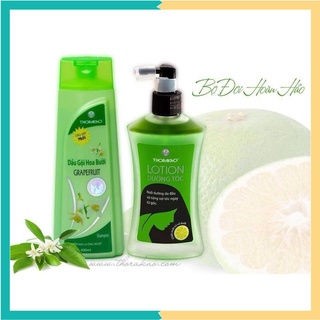 Combo dầu gội hoa bưởi ngăn rụng tóc – tinh dầu bưởi kích thích mọc tóc thorakao 120ml