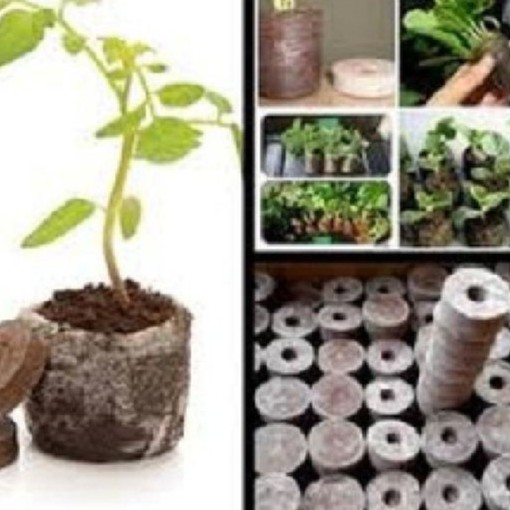 Bộ 10 viên nén ươm hạt - Viên nén xơ dừa ươm hạt