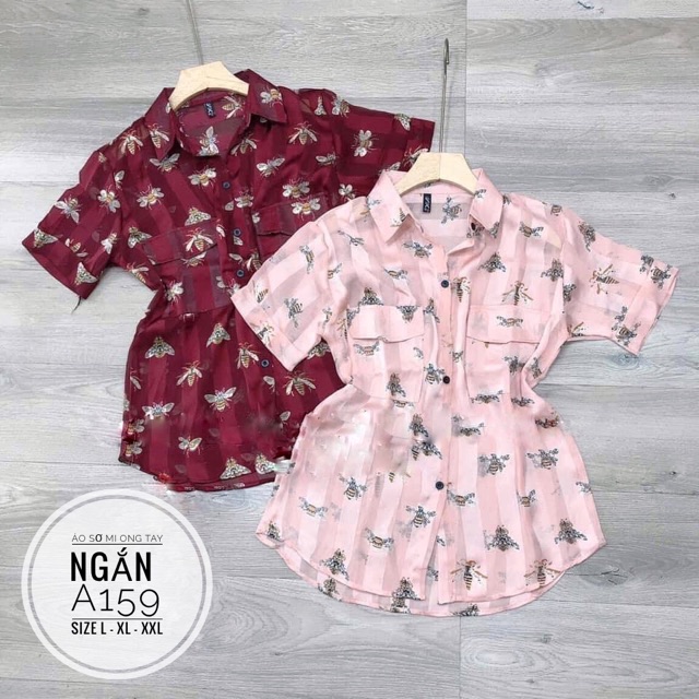 Bigsize Áo sơ mi ong tay ngắn A159