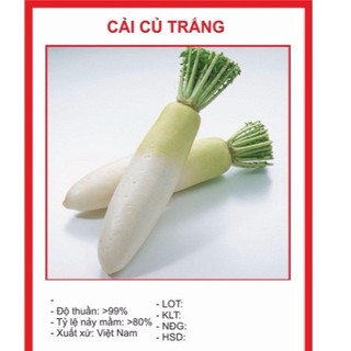 Hạt giống củ cải trắng 20gr