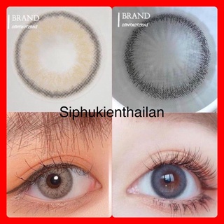 Giá sỉ Lens áp tròng tự nhiên 9 mẫu mới 2021 ( tặng khay đơn)