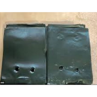TÚI BẦU ƯƠM CÂY GIỐNG (8 x 11cm) 1kg
