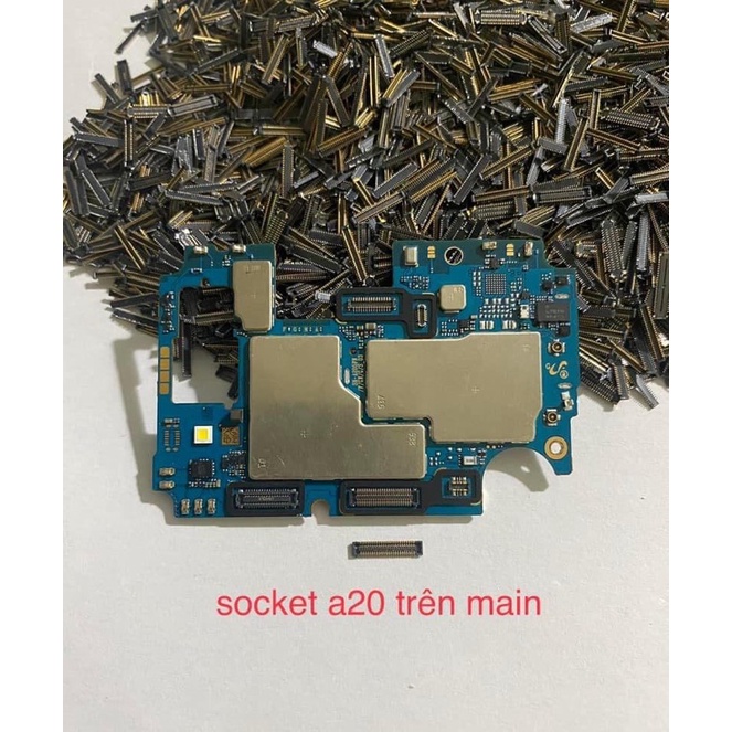 socket a20 trên main