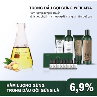 [Áp lưu mã giảm 50k] Bộ Dầu Gội Xả Gừng và Tinh chất serum huyết thanh dưỡng tóc Weilaiya mini