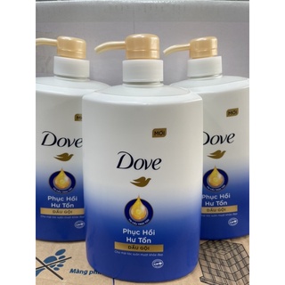Dầu gội Dove phục hồi hư tổn 880g