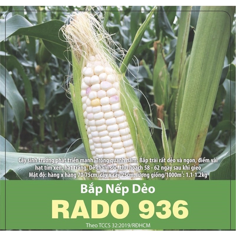 Bắp Nếp Dẻo 936 (10gr)