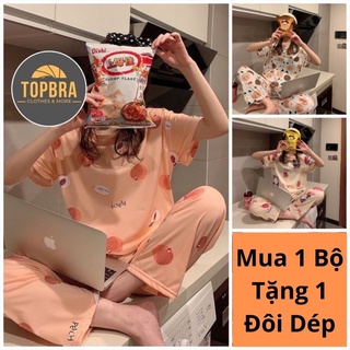 Đồ Bộ Nữ Mặc Nhà, Bộ Đồ Ngủ Thun Sữa Mỏng Hè Thu Áo Cộc Quần Dài TOPBRA