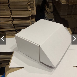 Combo 20 hộp carton nắp gài 21x13x10cm