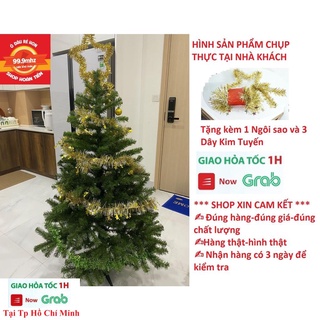 Cây Thông Noel Trang Trí Giáng Sinh 1m5 (150cm) Tặng Kèm 3 Dây Kim Tuyến 1 Ngôi Sao Đỉnh Hàng Việt Nam Chất Lượng Cao