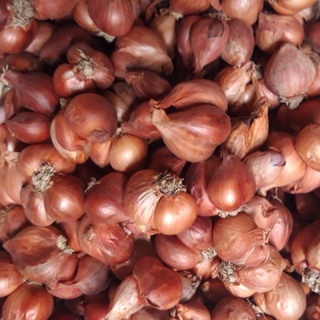 1Kg hành khô ta củ to chắc củ thơm ngon- hàng chọn lọc