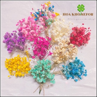 BÓ HOA khô baby mini - thiệp cưới vintage - Hoa BABY khô - bình hoa trang trí - decor- bình hoa - hoa khô trang trí