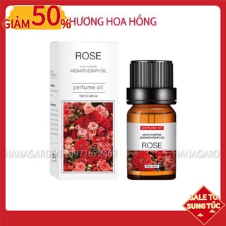Tinh Dầu Hoa Hồng (Rose) Dịu Nhẹ MUA 5 TẶNG 1 Thiên Nhiên Thư Giãn. Dung tích: 10ml