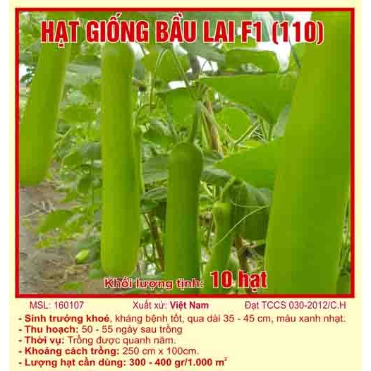 Hạt giống bầu