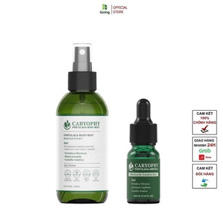Combo dưỡng da giảm mụn mờ thâm Caryophy Portulaca (xịt mụn lưng 150ml + serum 10ml) ILIVING-CARCBXMLSR10