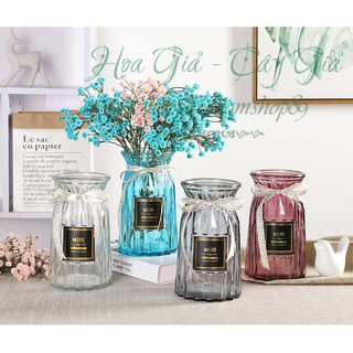 Bình Cắm Hoa Thủy Tinh Thắt Nơ