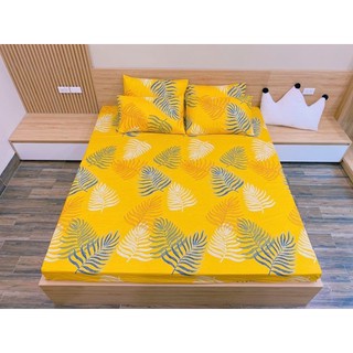 Bộ Ga Gối Cotton Poly 3D - Lá Vàng
