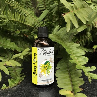 100ml Tinh dầu Ngọc Lan Tây MIDORI OILS nguyên chất đậm đặc Ấn Độ