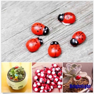 Mô Hình Bọ Rùa Mini Trang Trí Sân Vườn