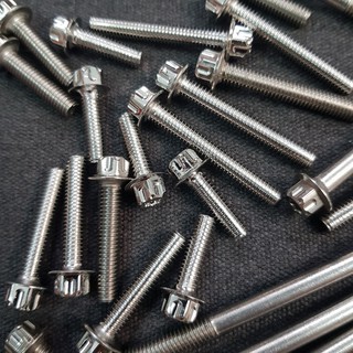 ỐC INOX SALAYA SÁNG BÓNG, KÍCH THƯỚC 6LY CHIỀU DÀI ĐẦY ĐỦ CÁC SIZE, BẮT DÀN ÁO XE HONDA, YAMAHA, LỐC MÁY