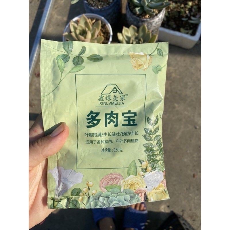 Phân tan chậm cho sen đá mập ú, lên màu