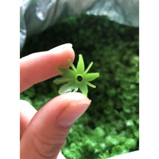 100g đài phụ kiện làm hoa HandMade