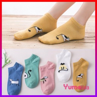 Set 5 Đôi Vớ ngắn nữ Meo Meo lạ kỳ