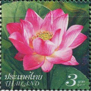 Tem sưu tập Tem Thái Lan Thực Vật Hoa Sen 2011