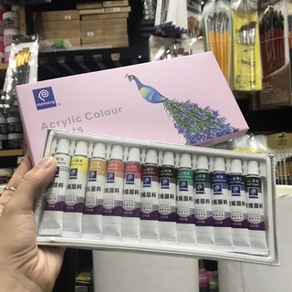 màu acrylic dạng tuýp- tiện lợi- dùng cho người mới học vẽ trên vải - memory 12 màu