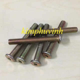 20 con - 8x60mm ỐC LỤC GIÁC CHÌM ĐẦU DẸT - BULONG LỤC GIÁC CHÌM ĐẦU DẸT
