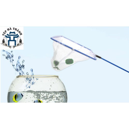 Vợt bắt cá tép số 5