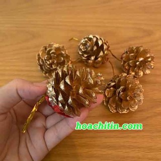 Noel Combo 5 quả thông xi vàng trang trí cây Thông giáng sinh