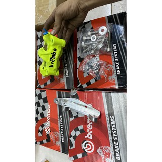 Heo tai xanh trước winner /heo 4 biss