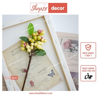 Nhành quả trang trí chụp sản phẩm, chụp hình mĩ phẩm, chụp hình trang sức - Shop28Decor.com