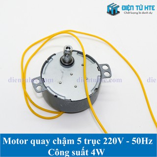 Motor quay chậm - Motor đảo trứng 220V 4W [HTE Quy Nhơn CN2]