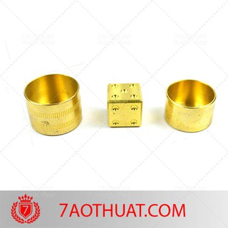 Đồ chơi ảo thuật thú vị : Hộp đoán xúc xắc đồng nguyên chất