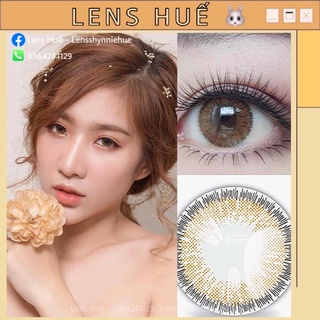 LENS CÓ ĐỘ CẬN - kính áp tròng màu Made in Korea - Hàn Quốc sử dụng 6 tháng ( Lens Huế ) 🤍