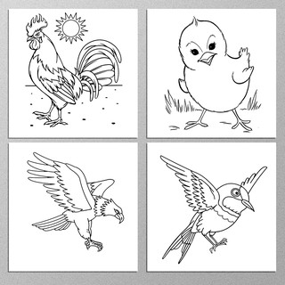 12 Flash Card tô màu thủ công, giấy bìa giày tô màu thủ công Bird chim và gà cho bé (Thẻ rời kích thước 9cm x 9cm))