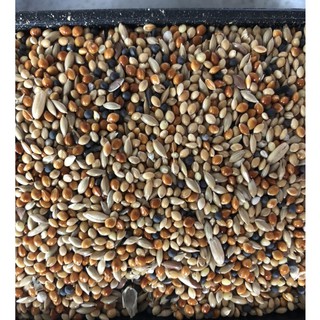 Hạt trộn cho yến phụng, finch, manh manh gói 500g - 1kg