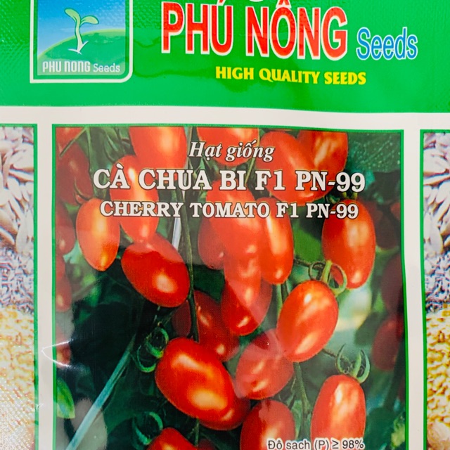 Hạt giống cà chua bi