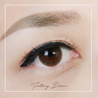 Áp Tròng Giãn Nhẹ FALLING BROWN - Ẩm Cao 55% - HSD 6 Tháng, Có Lệch, Lens Tự Nhiên  Đeo Hàng Ngày Phù Hợp Mắt Nhạy Cảm