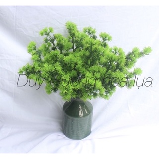 Điểm Tùng xanh - điểm Tùng nhựa - cành Tùng decor