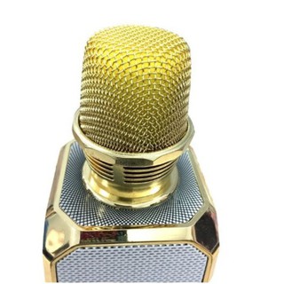 Mic hát Karaoke SD-10 SDRD