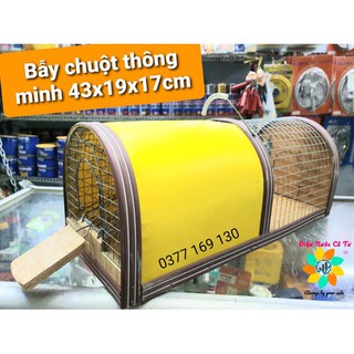 Bẫy chuột thông minh 43x19x17cm