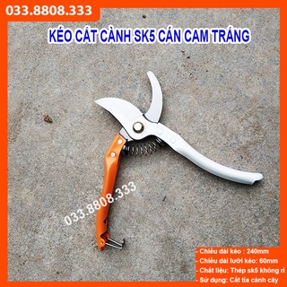 [Siêu Sale] KÉO CẮT CÀNH CÁN CAM TRẮNG - KÉO CHUYÊN DÙNG CẮT TỈA, KÉO SẮC ĐẸP