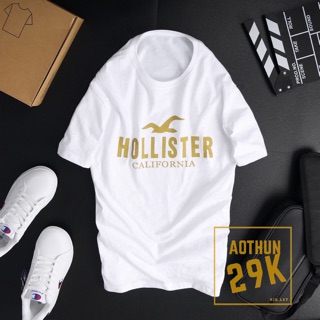 ALBUM 1061 - ÁO THUN UNISEX HOLISTER CALI MÀU ĐỒNG NHIỀU MÀU