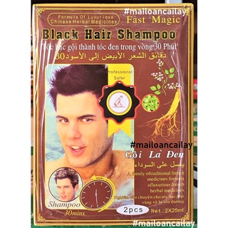 Dầu gội nhuộm đen tóc Black hair shampoo gội là đen (1 hộp 2 gói)
