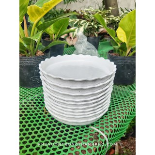 Dĩa lót chậu tròn 15cm (dĩa nhựa,màu trắng)