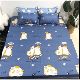 Combo bộ ga chun MÈO CAT XANH kèm 2 vỏ gối nằm_Đủ kích thước