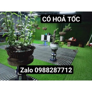 Combo 10 m2 thảm cỏ nhân tạo 2cm sợi nhựa